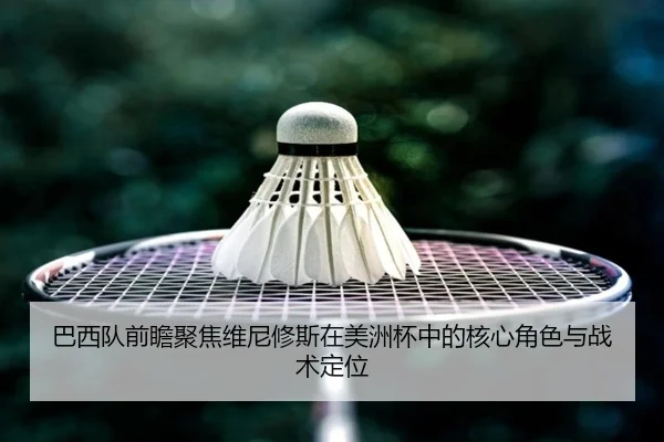 ba-xi-dui-qian-zhan-ju-jiao-wei-ni-xiu-si-zai-mei-zhou-bei-zhong-de-he-xin-jue-se-yu-zhan-shu-ding-wei-2-886.jpg